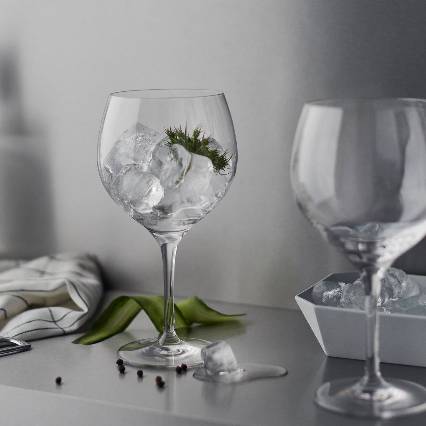 Gin and Tonic - Set of 4