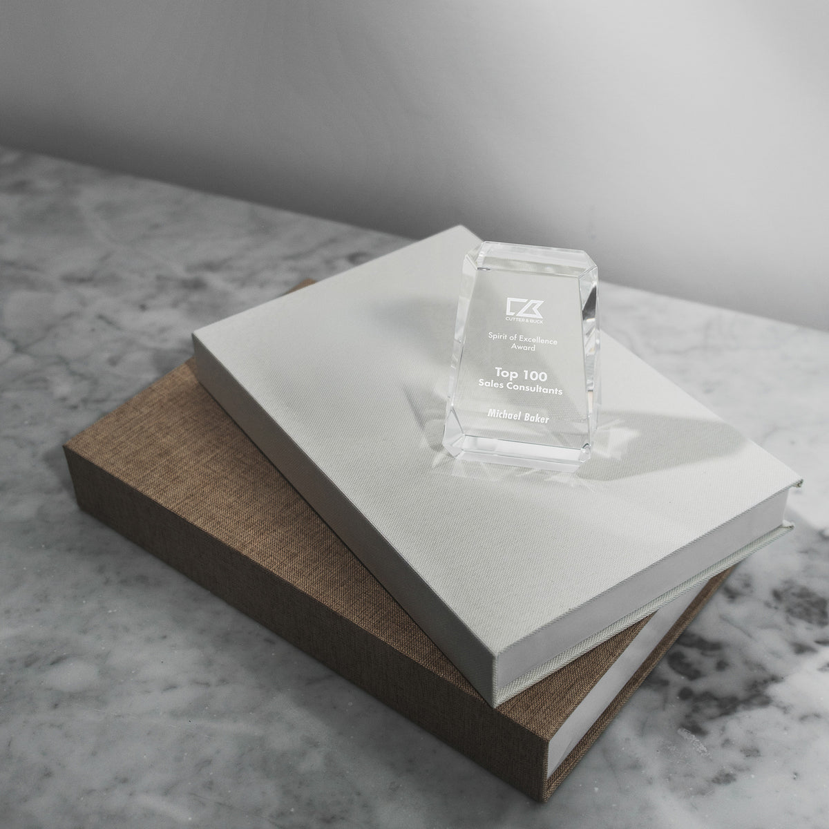 Spirit of Excellence Award