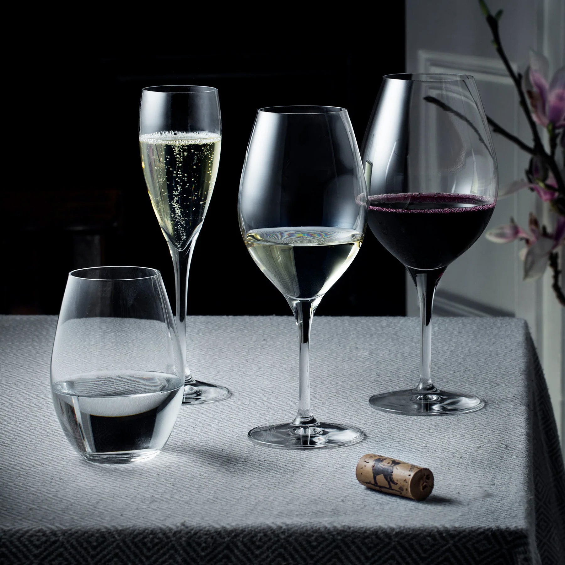 More Champagne - Set of 6