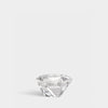 Precious Votive